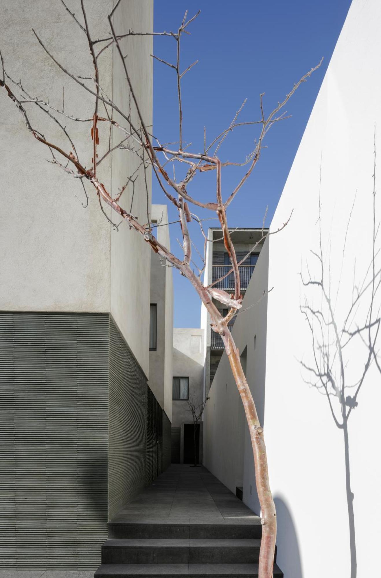 Suites Everness Guadalajara Dış mekan fotoğraf